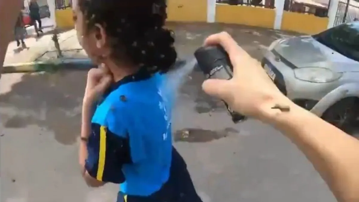 Adolescente se recupera após mais de 100 picadas de abelhas em Ibirité