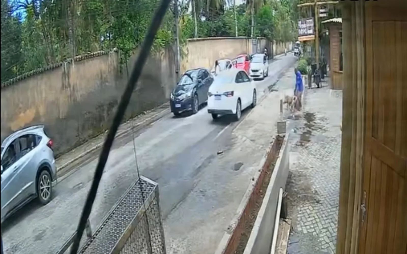 Homem é atacado por pitbull após batida de carros em Arraial d’Ajuda