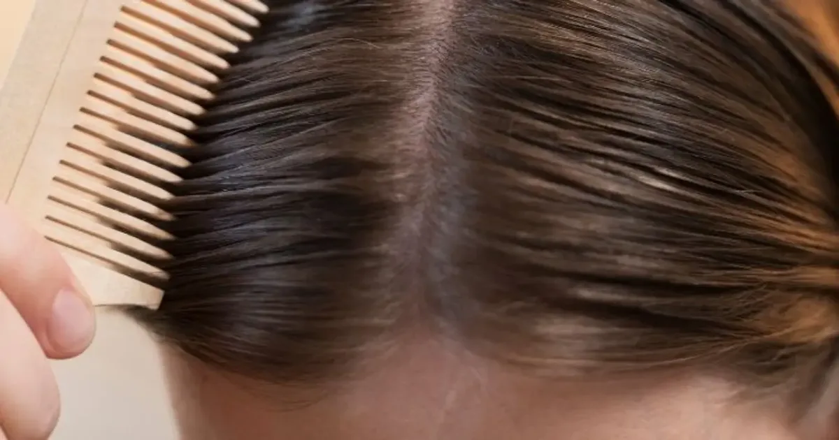 Cinco shampoos para equilibrar raiz oleosa e pontas secas