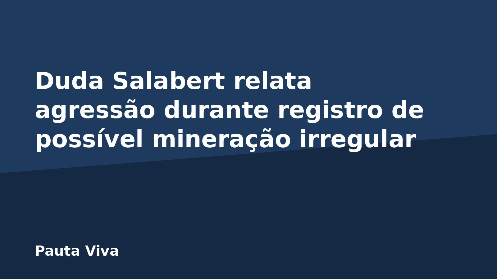 Duda Salabert relata agressão durante registro de possível mineração irregular
