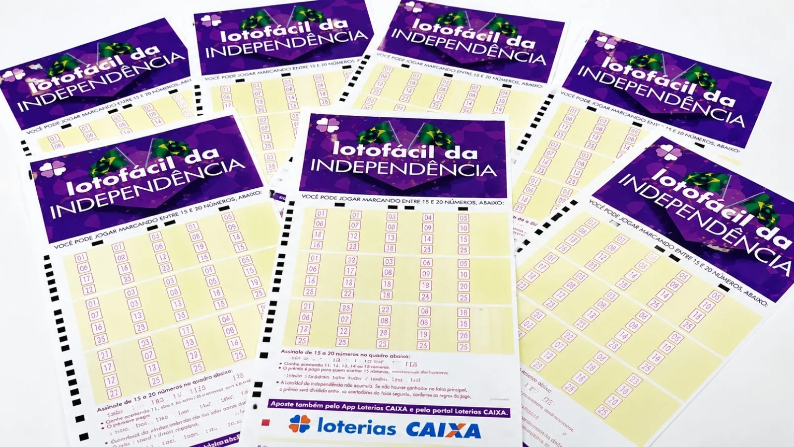Apostas na Bahia dividem prêmio de R$ 4,4 milhões na Lotofácil