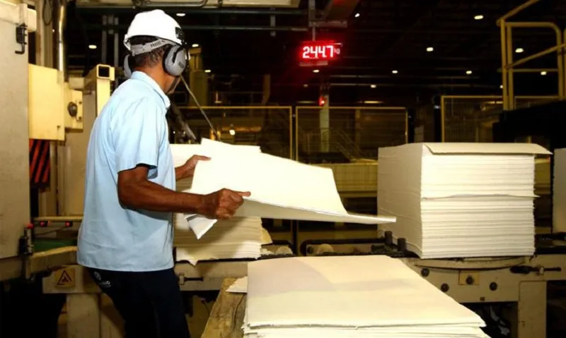 Produção florestal do Brasil chega a R$ 47,9 bilhões em 2025