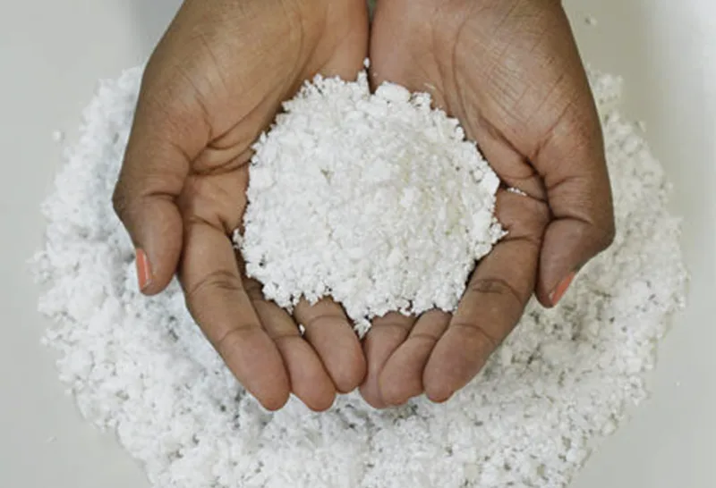 Tarifaço dos EUA afetará 245 produtos da Bahia; celulose solúvel é a maior preocupação