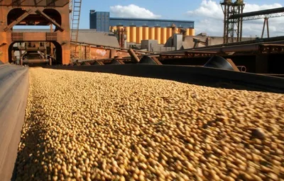 Brasil amplia papel no abastecimento global, mas mantém dependência de fertilizantes