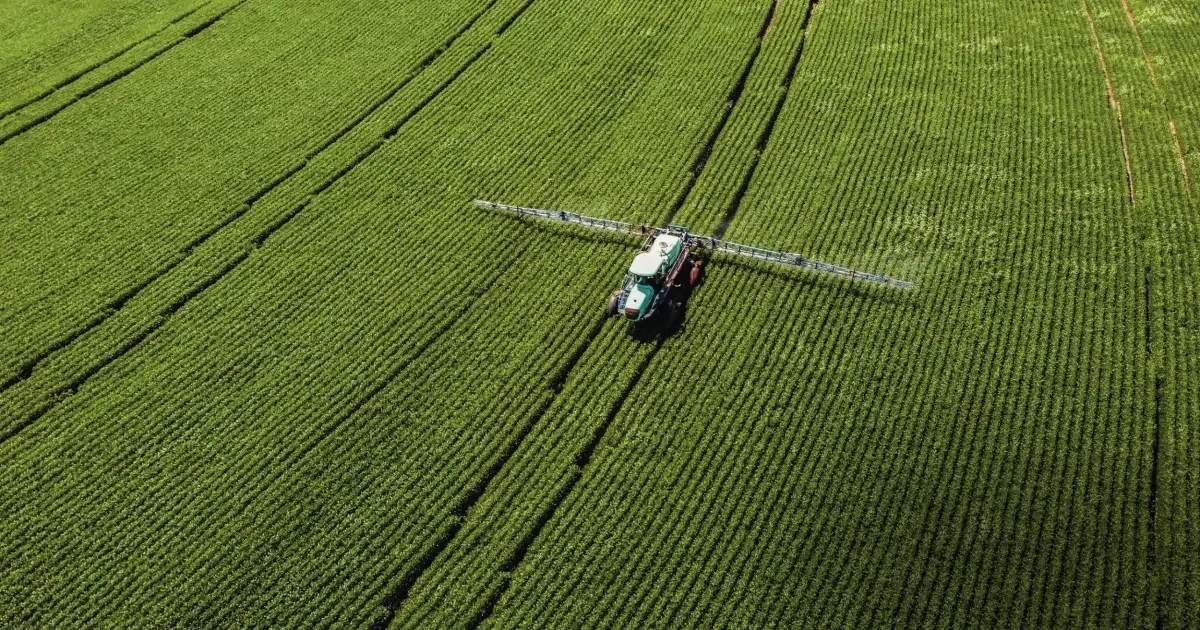 Mato Grosso lidera alta na procura por crédito no Brasil