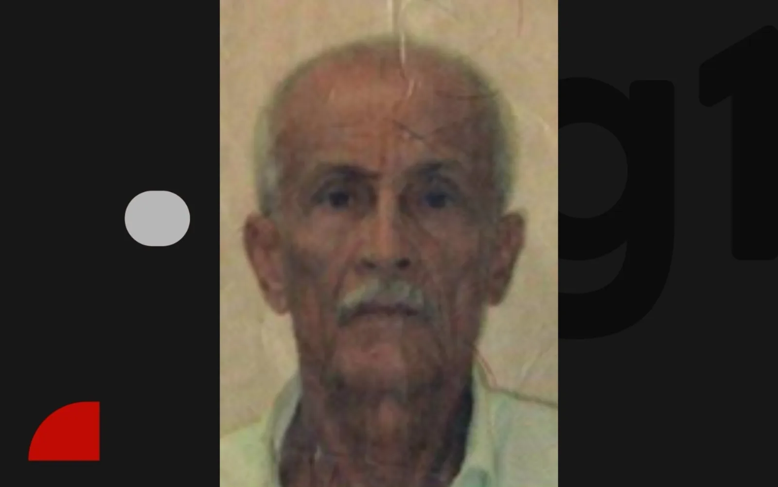 Idoso morre após ataque de abelhas em Terra Nova, na Bahia
