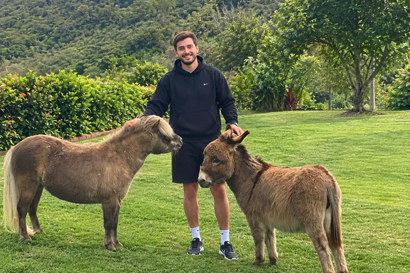 Interação breve com mini cavalos e burros reduz ansiedade em adolescentes, aponta estudo