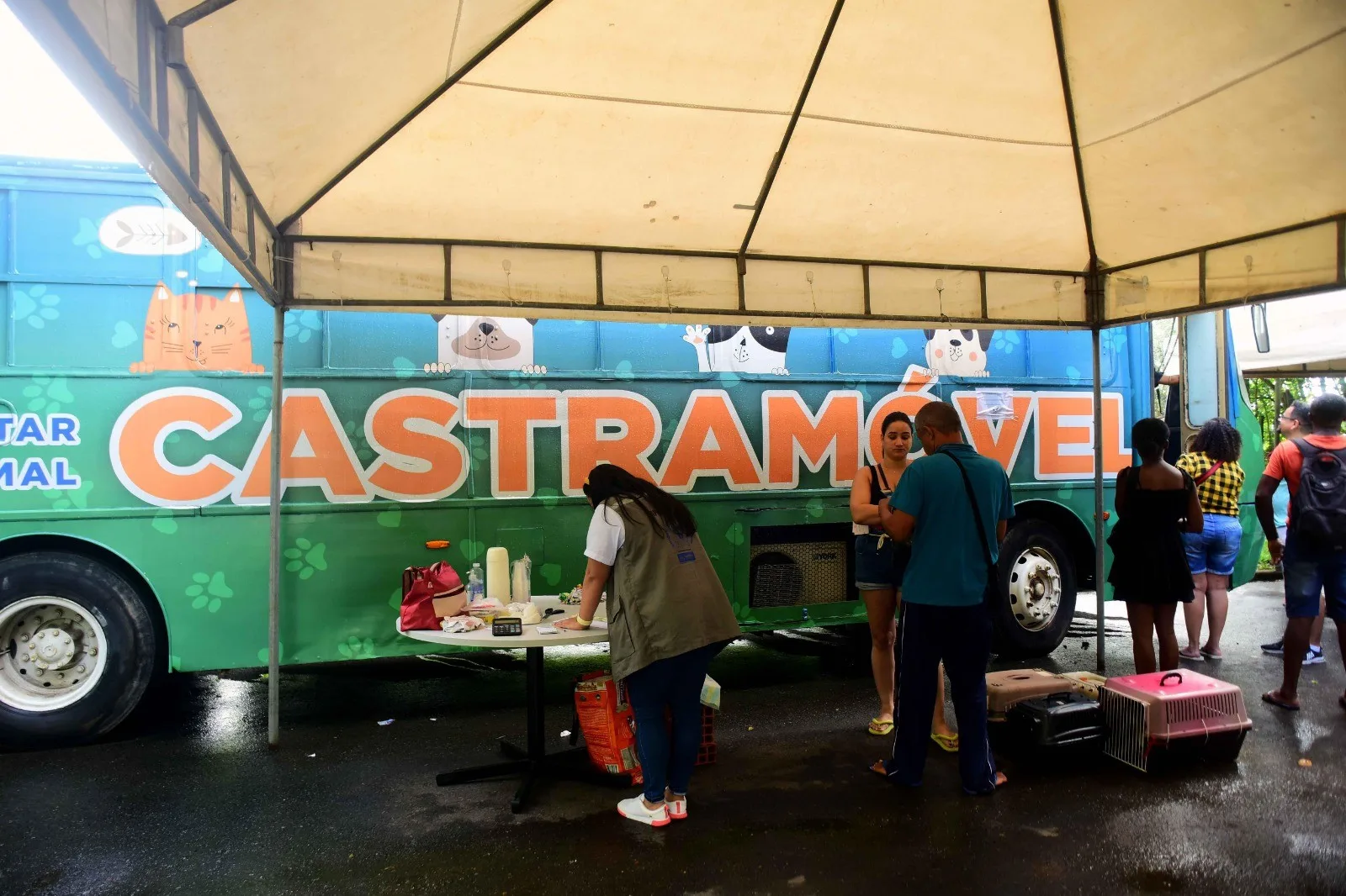 Castramóvel começa a atender cães e gatos gratuitamente em Salvador