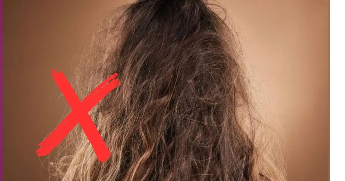 Cinco cuidados ajudam a controlar o frizz e manter os fios alinhados