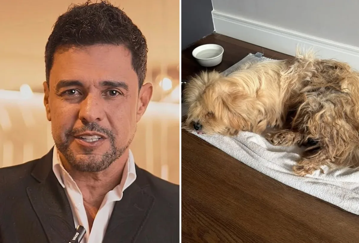 Francisco ganha nova casa após ser encontrado no camarim de Zezé Di Camargo